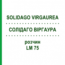 СОЛИДАГО ВИРГАУРА (SOLIDAGO VIRGAUREA) LM 75 раствор 10 мл - Гомеопатия ARCANA DR.SEWERIN