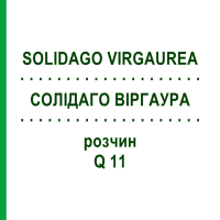 СОЛІДАГО ВІРГАУРА (SOLIDAGO VIRGAUREA) Q 11 розчин 15 мл - Гомеопатія GUDJONS
