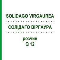 СОЛИДАГО ВИРГАУРА (SOLIDAGO VIRGAUREA) Q 12 раствор 15 мл - Гомеопатия GUDJONS