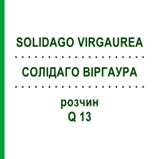 СОЛИДАГО ВИРГАУРА (SOLIDAGO VIRGAUREA) Q 13 раствор 15 мл - Гомеопатия GUDJONS