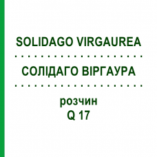 СОЛИДАГО ВИРГАУРА (SOLIDAGO VIRGAUREA) Q 17 раствор 15 мл - Гомеопатия GUDJONS