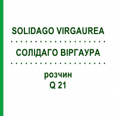 СОЛИДАГО ВИРГАУРА (SOLIDAGO VIRGAUREA) Q 21 раствор 15 мл - Гомеопатия GUDJONS