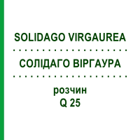 СОЛИДАГО ВИРГАУРА (SOLIDAGO VIRGAUREA) Q 25 раствор 15 мл - Гомеопатия GUDJONS