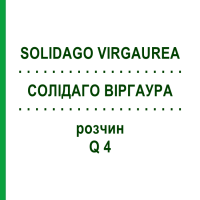 СОЛІДАГО ВІРГАУРА (SOLIDAGO VIRGAUREA) Q 4 розчин 15 мл - Гомеопатія GUDJONS