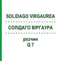 СОЛИДАГО ВИРГАУРА (SOLIDAGO VIRGAUREA) Q 7 раствор 15 мл - Гомеопатия GUDJONS