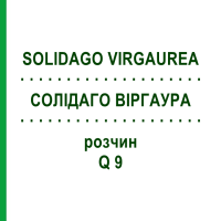 СОЛІДАГО ВІРГАУРА (SOLIDAGO VIRGAUREA) Q 9 розчин 15 мл - Гомеопатія GUDJONS