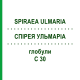 СПИРЕЯ УЛЬМАРИА (SPIRAEA ULMARIA) C 30 глобули 10 г - Гомеопатия DHU