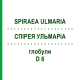 СПИРЕЯ УЛЬМАРИА (SPIRAEA ULMARIA) D 6 глобули 10 г - Гомеопатия DHU