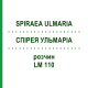 СПИРЕЯ УЛЬМАРИА (SPIRAEA ULMARIA) LM 110 раствор 10 мл - Гомеопатия ARCANA DR.SEWERIN