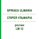 СПИРЕЯ УЛЬМАРИА (SPIRAEA ULMARIA) LM 12 раствор 10 мл - Гомеопатия ARCANA DR.SEWERIN