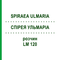 СПІРЕЯ УЛЬМАРІА (SPIRAEA ULMARIA) LM 120 розчин 10 мл - Гомеопатія ARCANA DR.SEWERIN