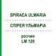 СПИРЕЯ УЛЬМАРИА (SPIRAEA ULMARIA) LM 120 раствор 10 мл - Гомеопатия ARCANA DR.SEWERIN