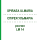 СПИРЕЯ УЛЬМАРИА (SPIRAEA ULMARIA) LM 14 раствор 10 мл - Гомеопатия ARCANA DR.SEWERIN