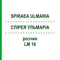 СПІРЕЯ УЛЬМАРІА (SPIRAEA ULMARIA) LM 16 розчин 10 мл - Гомеопатія ARCANA DR.SEWERIN