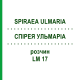 СПИРЕЯ УЛЬМАРИА (SPIRAEA ULMARIA) LM 17 раствор 10 мл - Гомеопатия ARCANA DR.SEWERIN
