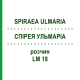 СПИРЕЯ УЛЬМАРИА (SPIRAEA ULMARIA) LM 18 раствор 10 мл - Гомеопатия ARCANA DR.SEWERIN
