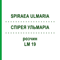 СПІРЕЯ УЛЬМАРІА (SPIRAEA ULMARIA) LM 19 розчин 10 мл - Гомеопатія ARCANA DR.SEWERIN