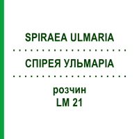 СПИРЕЯ УЛЬМАРИА (SPIRAEA ULMARIA) LM 21 раствор 10 мл - Гомеопатия ARCANA DR.SEWERIN