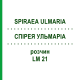 СПИРЕЯ УЛЬМАРИА (SPIRAEA ULMARIA) LM 21 раствор 10 мл - Гомеопатия ARCANA DR.SEWERIN