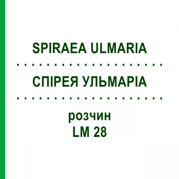 СПИРЕЯ УЛЬМАРИА (SPIRAEA ULMARIA) LM 28 раствор 10 мл - Гомеопатия ARCANA DR.SEWERIN