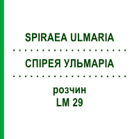 СПИРЕЯ УЛЬМАРИА (SPIRAEA ULMARIA) LM 29 раствор 10 мл - Гомеопатия ARCANA DR.SEWERIN