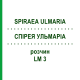 СПИРЕЯ УЛЬМАРИА (SPIRAEA ULMARIA) LM 3 раствор 10 мл - Гомеопатия ARCANA DR.SEWERIN