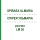 СПИРЕЯ УЛЬМАРИА (SPIRAEA ULMARIA) LM 36 раствор 10 мл - Гомеопатия ARCANA DR.SEWERIN