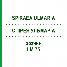СПИРЕЯ УЛЬМАРИА (SPIRAEA ULMARIA) LM 75 раствор 10 мл - Гомеопатия ARCANA DR.SEWERIN