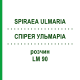 СПИРЕЯ УЛЬМАРИА (SPIRAEA ULMARIA) LM 90 раствор 10 мл - Гомеопатия ARCANA DR.SEWERIN