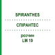 СПИРАНТЕС (SPIRANTHES) LM 19 раствор 10 мл - Гомеопатия ARCANA DR.SEWERIN