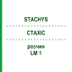 СТАХИС (STACHYS) LM 1 раствор 10 мл - Гомеопатия ARCANA DR.SEWERIN
