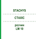 СТАХИС (STACHYS) LM 10 раствор 10 мл - Гомеопатия ARCANA DR.SEWERIN