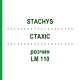 СТАХИС (STACHYS) LM 110 раствор 10 мл - Гомеопатия ARCANA DR.SEWERIN