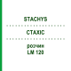 СТАХИС (STACHYS) LM 120 раствор 10 мл - Гомеопатия ARCANA DR.SEWERIN