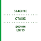 СТАХИС (STACHYS) LM 13 раствор 10 мл - Гомеопатия ARCANA DR.SEWERIN