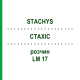 СТАХИС (STACHYS) LM 17 раствор 10 мл - Гомеопатия ARCANA DR.SEWERIN