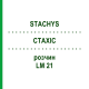 СТАХИС (STACHYS) LM 21 раствор 10 мл - Гомеопатия ARCANA DR.SEWERIN
