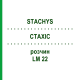 СТАХИС (STACHYS) LM 22 раствор 10 мл - Гомеопатия ARCANA DR.SEWERIN