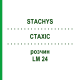 СТАХИС (STACHYS) LM 24 раствор 10 мл - Гомеопатия ARCANA DR.SEWERIN