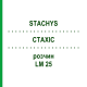 СТАХИС (STACHYS) LM 25 раствор 10 мл - Гомеопатия ARCANA DR.SEWERIN
