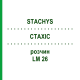 СТАХИС (STACHYS) LM 26 раствор 10 мл - Гомеопатия ARCANA DR.SEWERIN