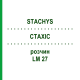 СТАХИС (STACHYS) LM 27 раствор 10 мл - Гомеопатия ARCANA DR.SEWERIN