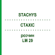 СТАХИС (STACHYS) LM 29 раствор 10 мл - Гомеопатия ARCANA DR.SEWERIN