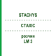 СТАХИС (STACHYS) LM 3 раствор 10 мл - Гомеопатия ARCANA DR.SEWERIN