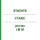 СТАХИС (STACHYS) LM 30 раствор 10 мл - Гомеопатия ARCANA DR.SEWERIN