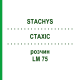 СТАХИС (STACHYS) LM 75 раствор 10 мл - Гомеопатия ARCANA DR.SEWERIN