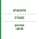 СТАХИС (STACHYS) LM 90 раствор 10 мл - Гомеопатия ARCANA DR.SEWERIN