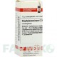 СТАФИЛОКОКЦИНУМ (STAPHYLOCOCCINUM) C 30 глобули 10 г - Гомеопатия DHU