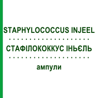 СТАФІЛОКОККУС ІНЬЄЛЬ (STAPHYLOCOCCUS INJEEL) ампули 100 шт - Гомеопатія BIOLOGISCHE HEILMITTEL HEEL