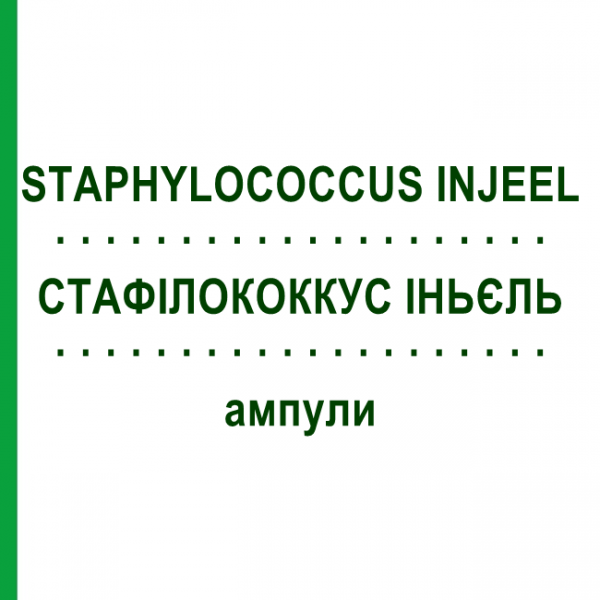СТАФІЛОКОККУС ІНЬЄЛЬ (STAPHYLOCOCCUS INJEEL) ампули 100 шт - Гомеопатія BIOLOGISCHE HEILMITTEL HEEL